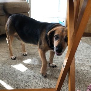 Meet your Posher, Thomas